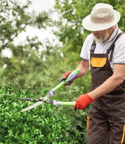 Create your perfect garden by starting here