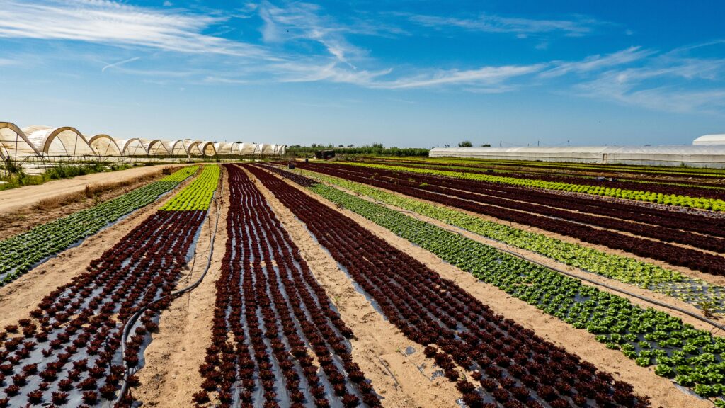 IoT-Integrated Smart Cultivators