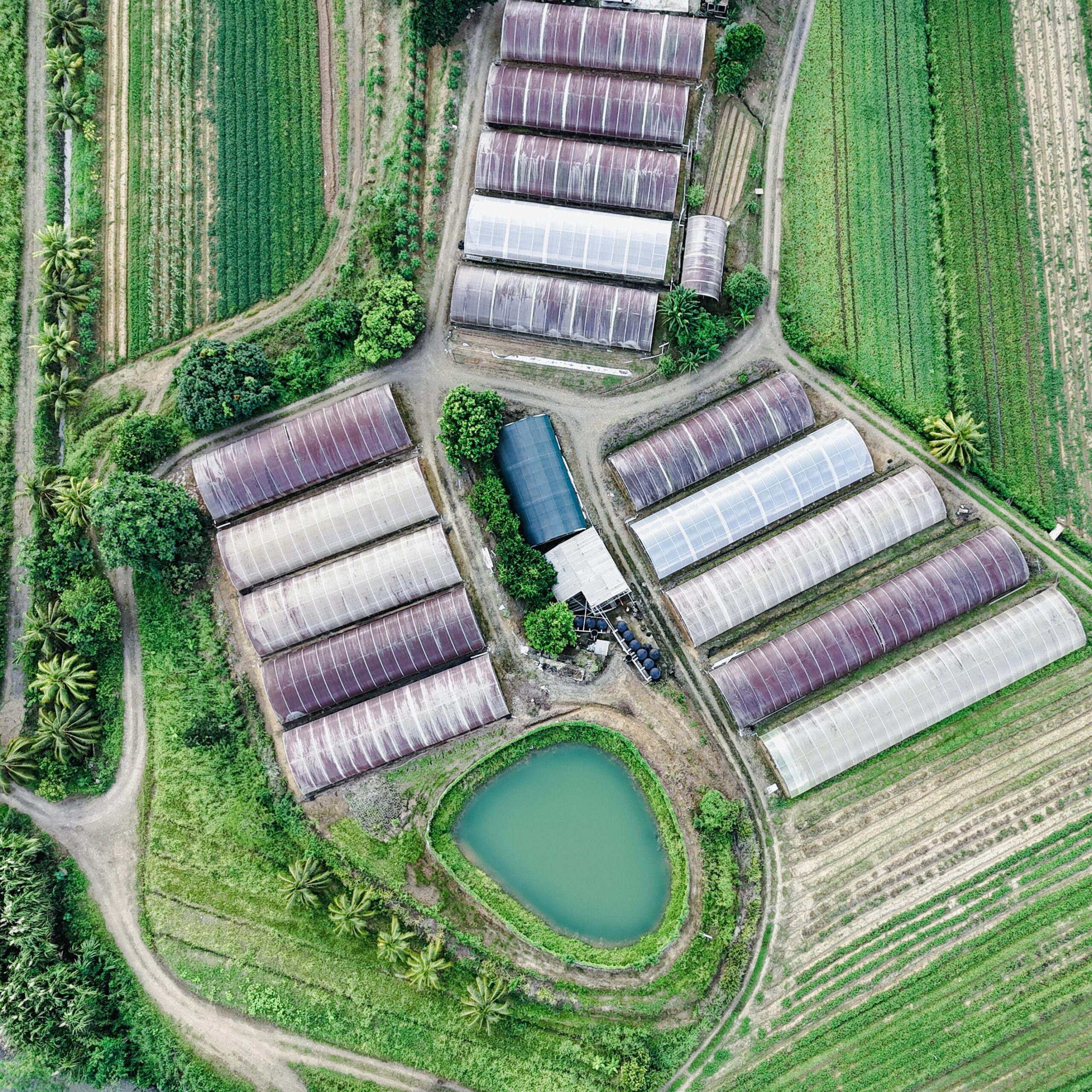 Latest Trends in Sustainable Gardening You Should Know in 2026
