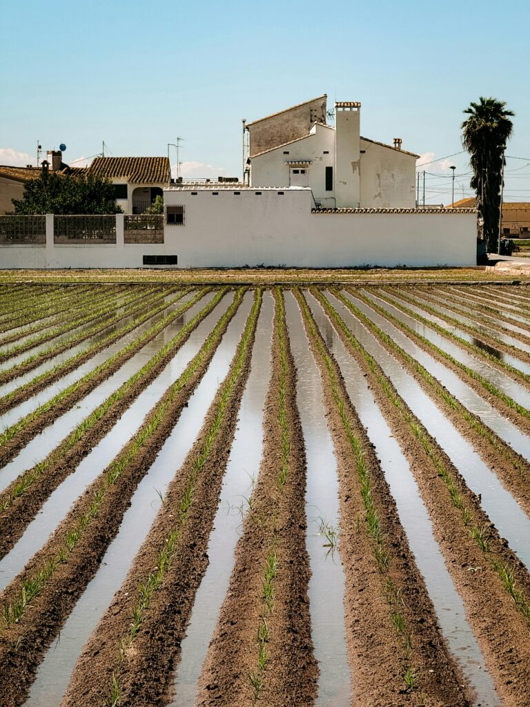 Native and Climate-Resilient Plants