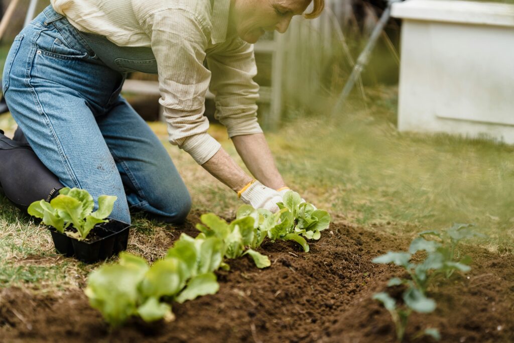 Organic Gardening and Chemical-Free Practices