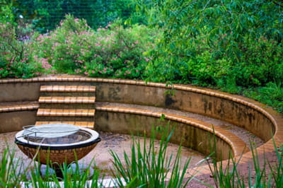 How to Choose, Grow, and Care for the Right Plants in Your Garden