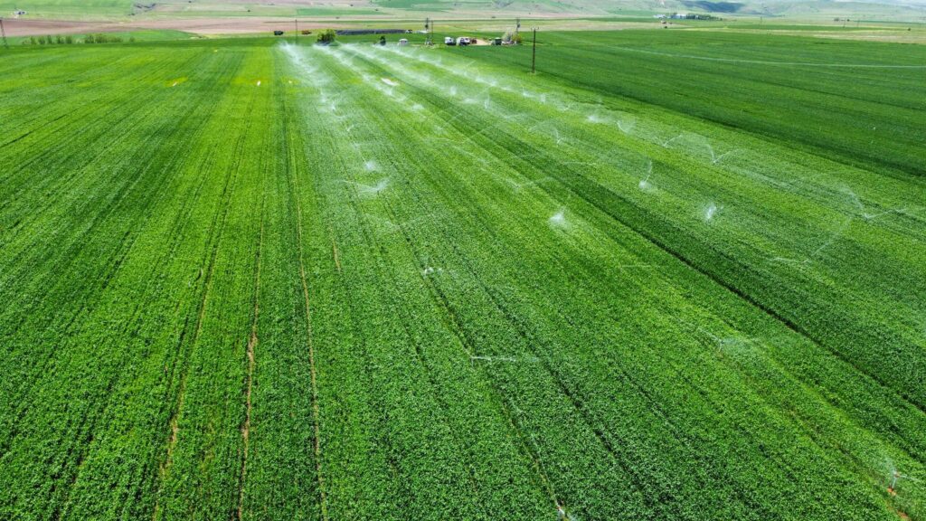 Precision Irrigation & Automated Hydration