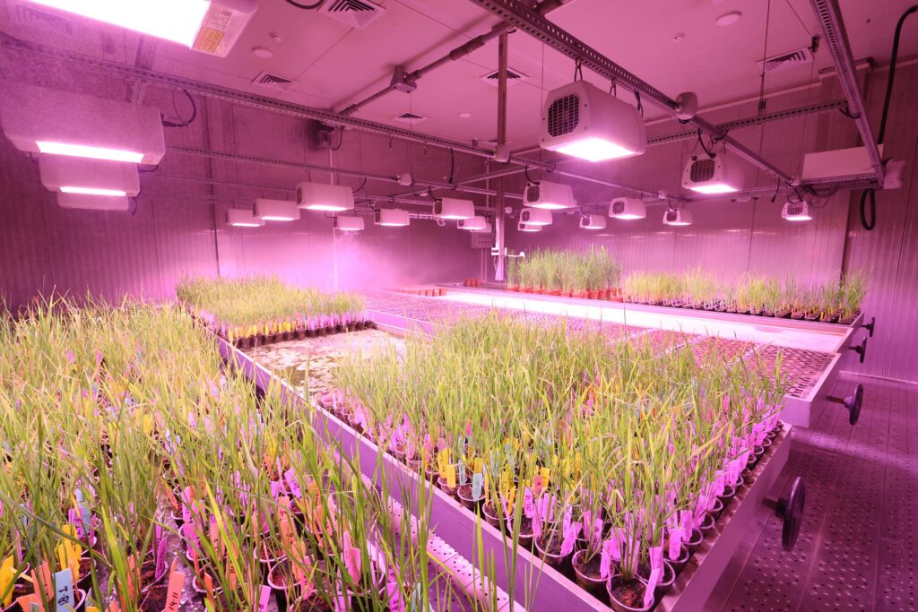 Smart LED Lighting