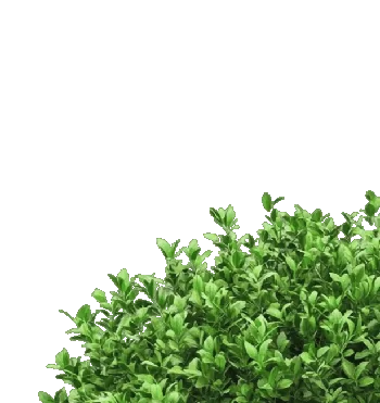 Your perfect garden starts here