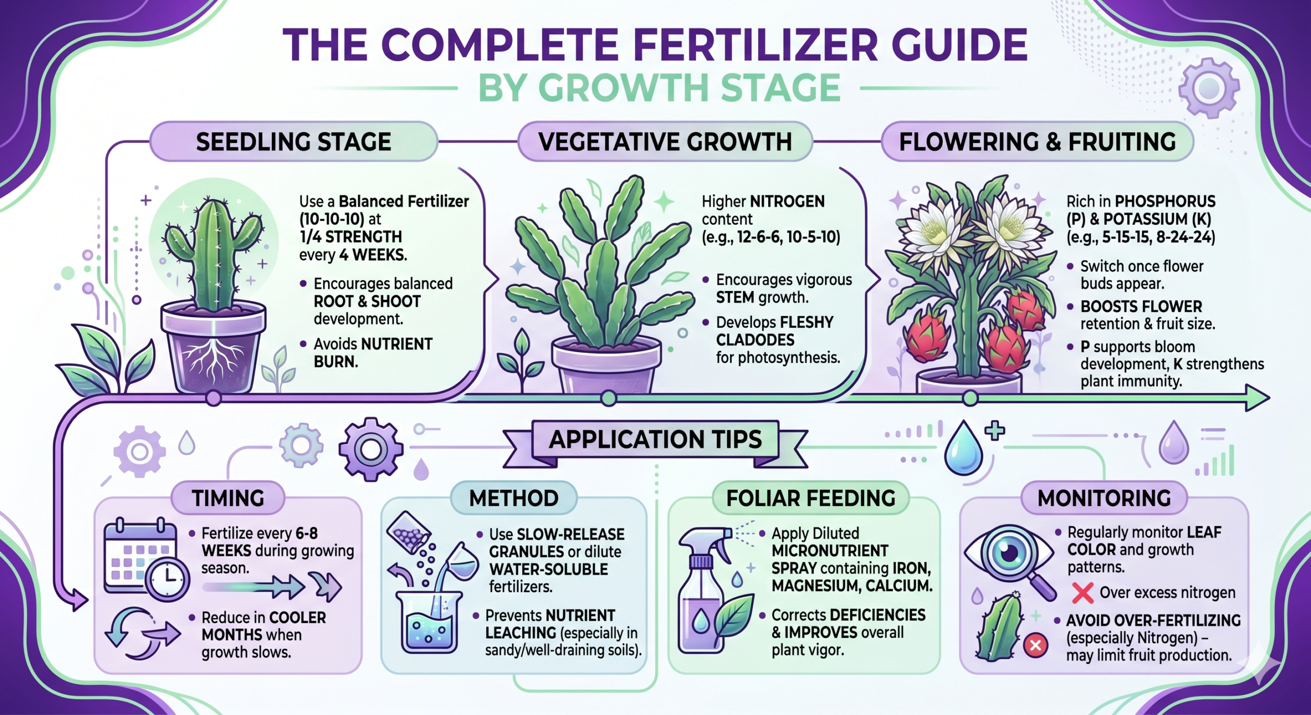 Fertilizer Ratios Guide for Purple Dragon