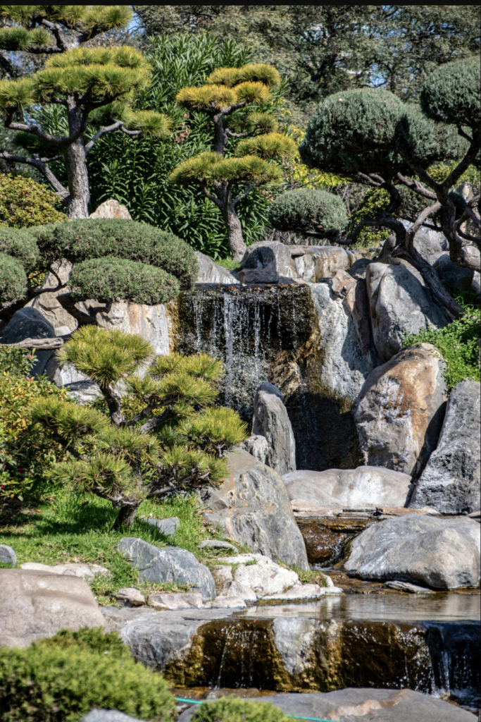 rocks-and-trees-around-stream Japan garden Design