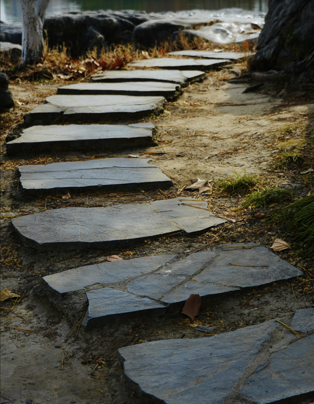 Creating a japanese Zen Walkway