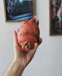 Purple Dragon Fruit (Red Pitaya) | Hylocereus costaricensis