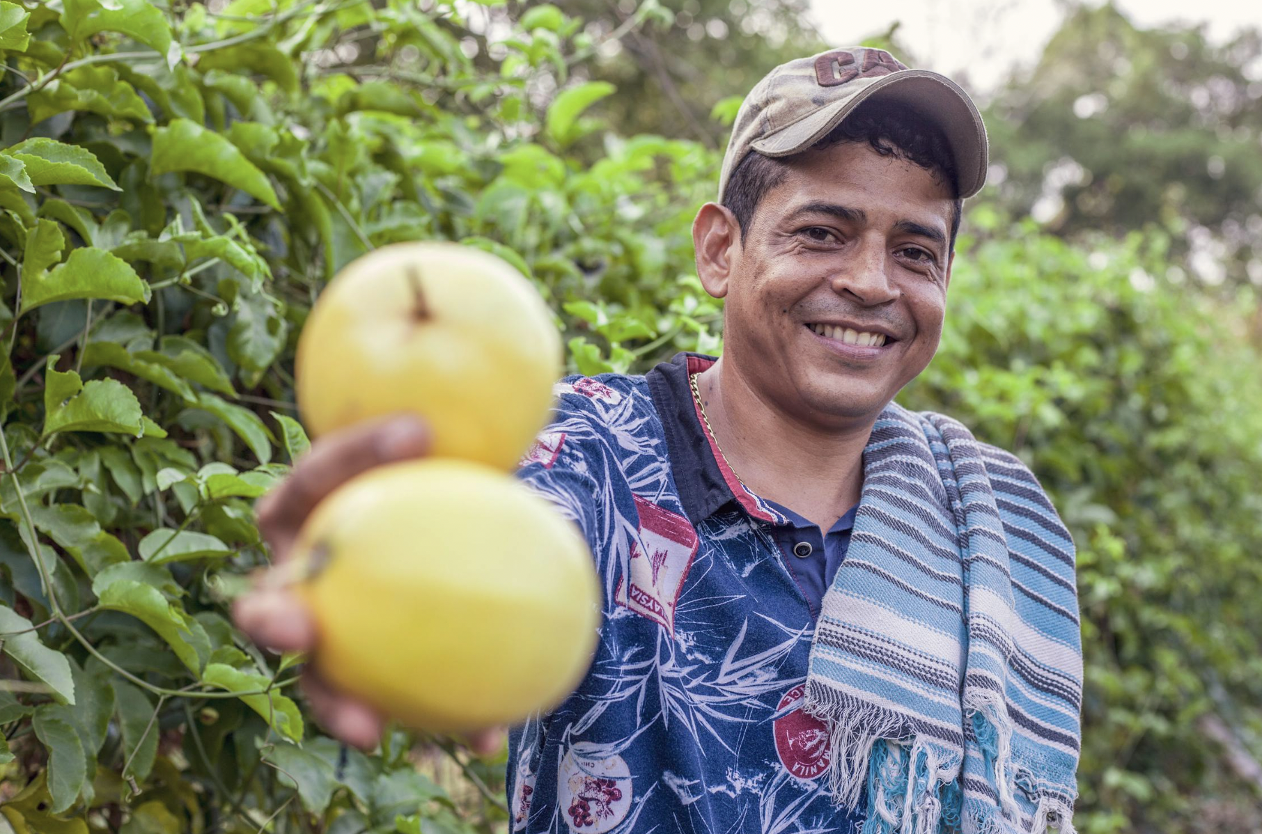 Grow Passion Fruit at Home