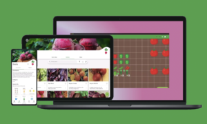 Download Planter Garden Planner Ai Tool