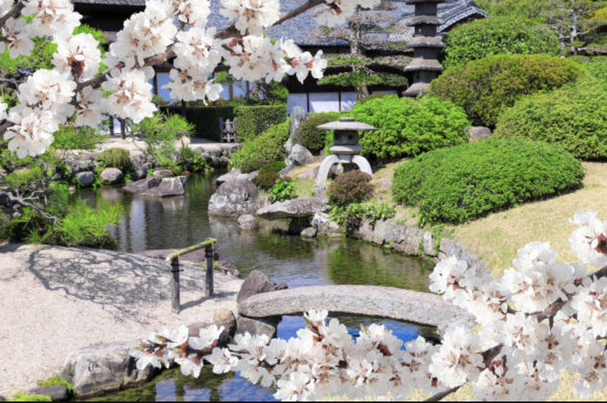 Japanese Garden Design Ideas: Master Zen Elements & Plants