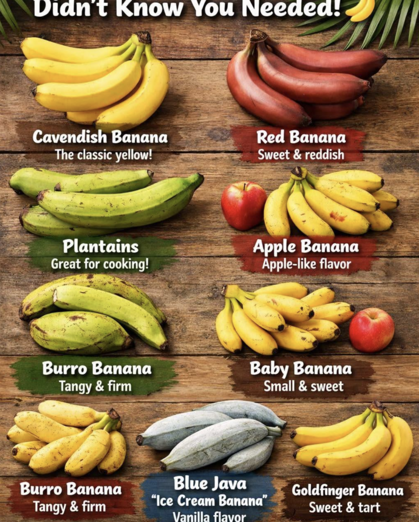 Various Types f Bananas