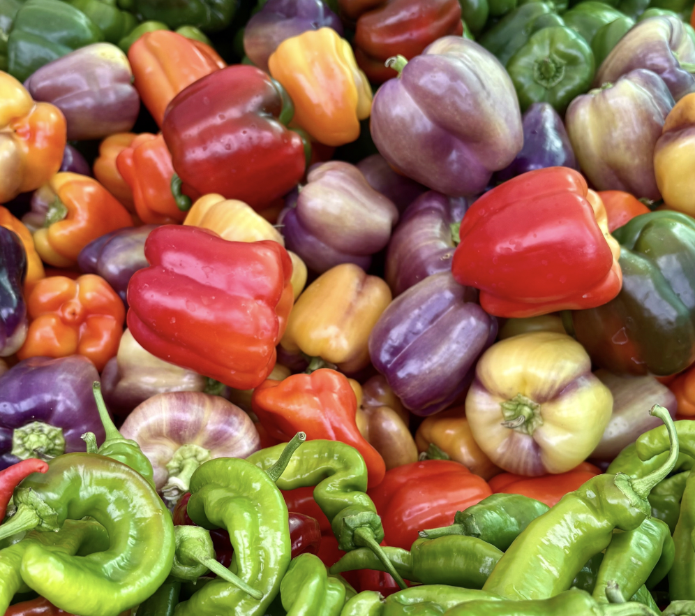 How to Grow Bell Peppers From Seed to Harvest