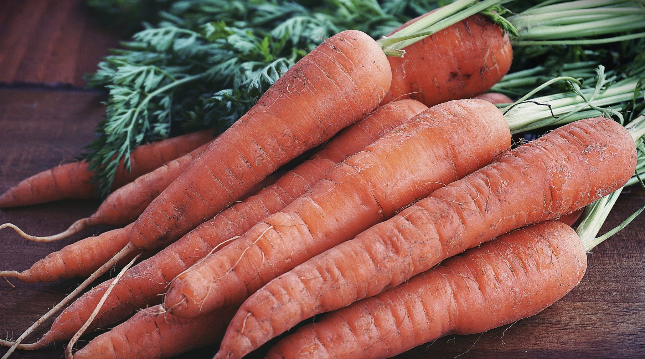 How to Grow Carrots in Raised Beds (Complete 2026 Guide)