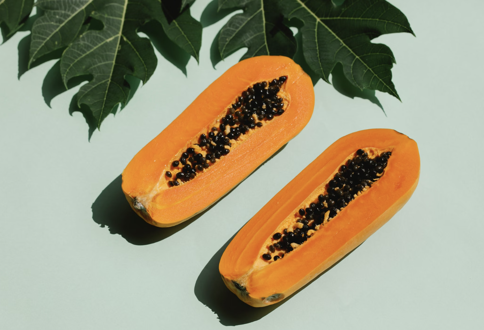 How to Grow Papaya From Seed: A Complete Guide for 2026