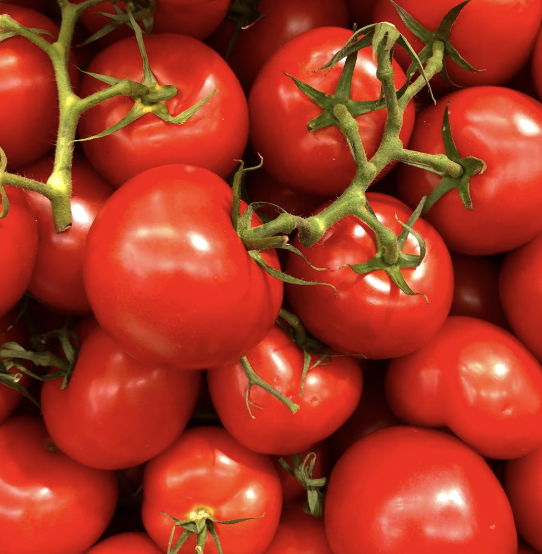 How to Grow Tomatoes in Containers (Beginner’s Guide)